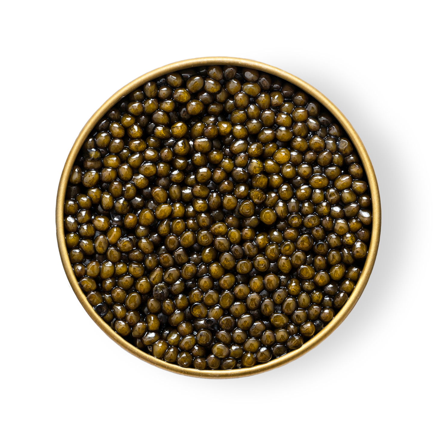 Petrusco River Beluga Hybrid Caviar - Wholesale