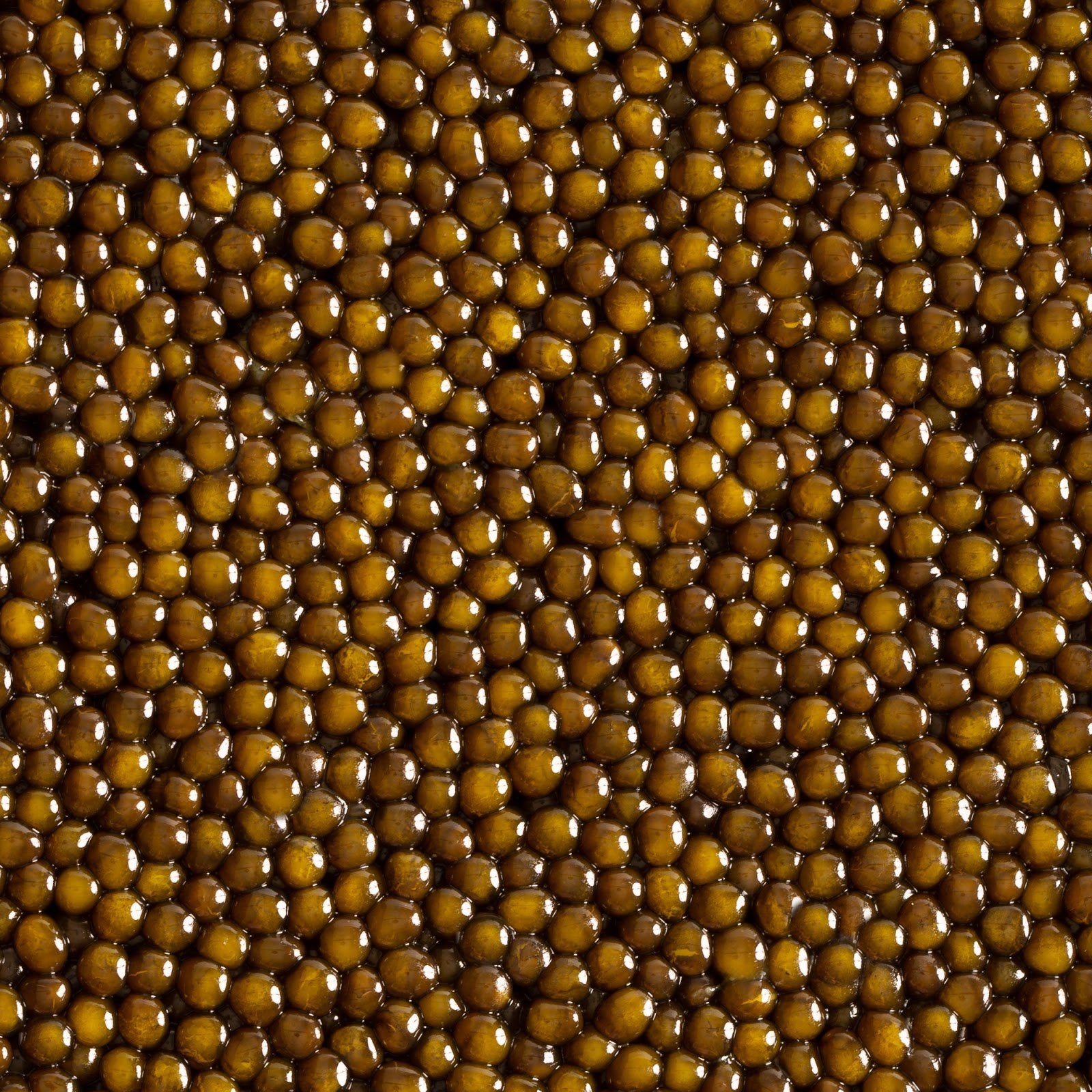 Everything You Need to Know About Fish Roe – Imperia Caviar Wholesale