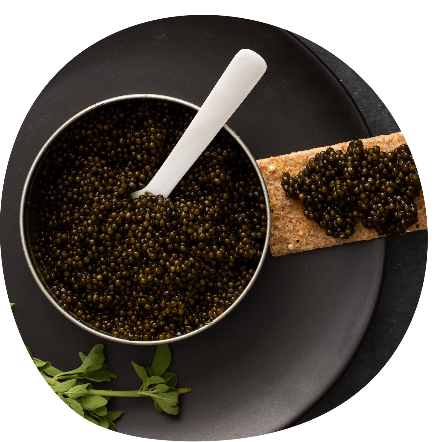 OM Ossetra Caviar - Wholesale